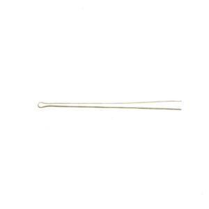 scharnierpen achterklep Dyane