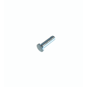 Borgpen handremhevel/schakelpook 6x20mm