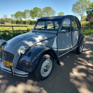 Grijze Charleston uit 1984