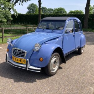 Prachtige lavendel blauwe eend uit 1985 VERKOCHT